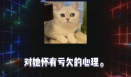 吃瓜娱乐圈综艺,娱乐圈综艺大揭秘