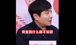 辰亦儒娱乐圈吃瓜第一人,娱乐圈吃瓜达人，揭秘明星幕后人生