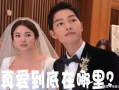 娱乐圈吃瓜事件真相,揭秘幕后真相，还原事件始末
