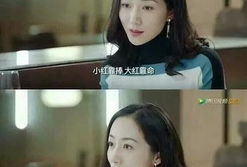 吃瓜小说娱乐圈柳小八,娱乐圈的瓜田小仙女