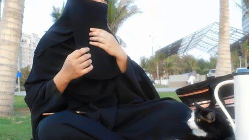 娱乐吃瓜君视频